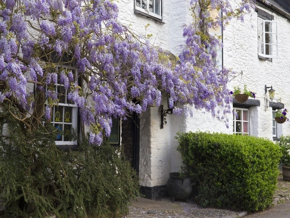 Old Church House Inn Newton Abbot Exterior photo